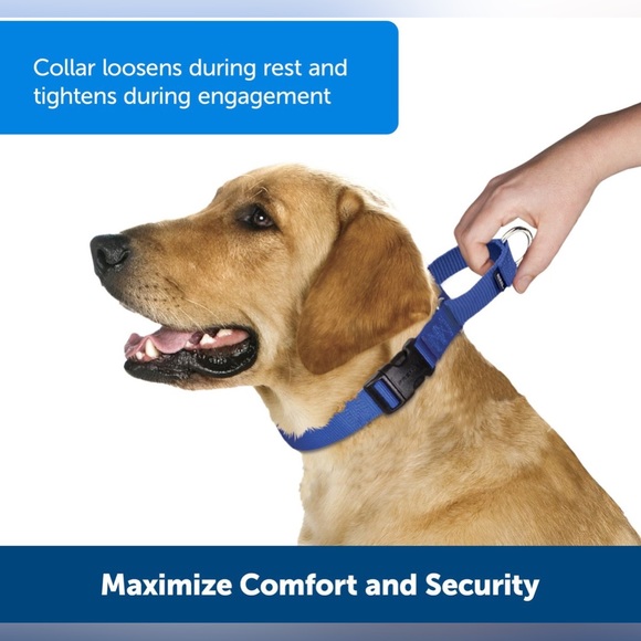 PetSafe Dog Nwt Petsafe Blue Martingale Collar W Quick Snap Buckle